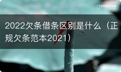 2022欠条借条区别是什么（正规欠条范本2021）