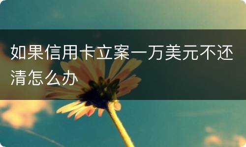 如果信用卡立案一万美元不还清怎么办