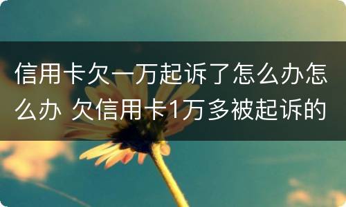 信用卡欠一万起诉了怎么办怎么办 欠信用卡1万多被起诉的后果