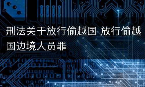刑法关于放行偷越国 放行偷越国边境人员罪