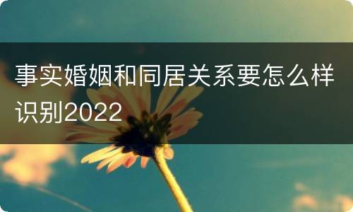 事实婚姻和同居关系要怎么样识别2022