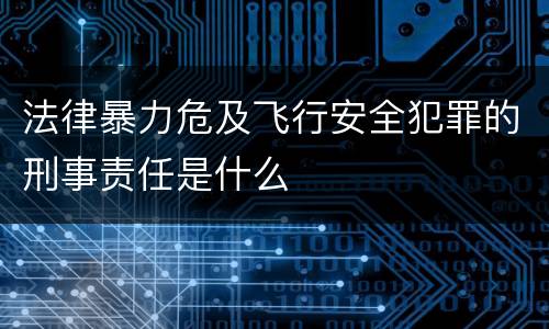 法律暴力危及飞行安全犯罪的刑事责任是什么