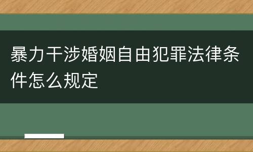 暴力干涉婚姻自由犯罪法律条件怎么规定