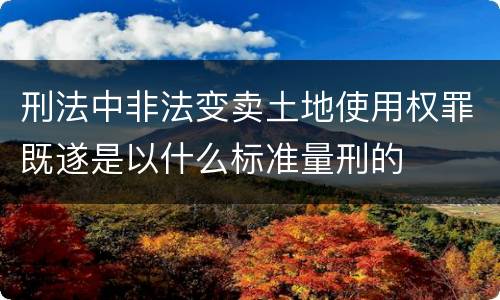 刑法中非法变卖土地使用权罪既遂是以什么标准量刑的