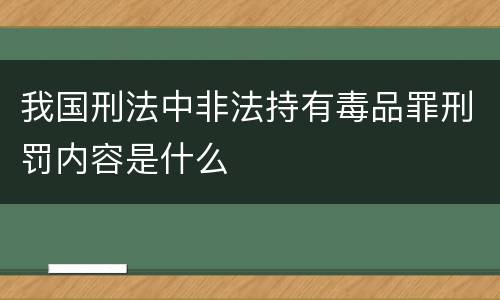 我国刑法中非法持有毒品罪刑罚内容是什么