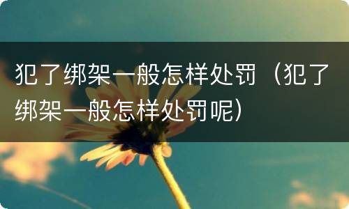 犯了绑架一般怎样处罚（犯了绑架一般怎样处罚呢）