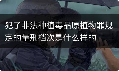 犯了非法种植毒品原植物罪规定的量刑档次是什么样的