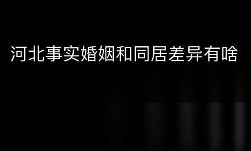 河北事实婚姻和同居差异有啥