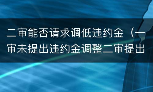 二审能否请求调低违约金（一审未提出违约金调整二审提出的）