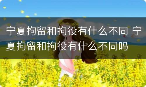 宁夏拘留和拘役有什么不同 宁夏拘留和拘役有什么不同吗