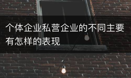 个体企业私营企业的不同主要有怎样的表现
