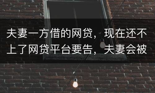 夫妻一方借的网贷，现在还不上了网贷平台要告，夫妻会被一起告吗
