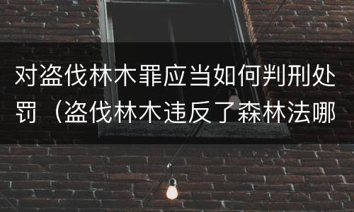 对盗伐林木罪应当如何判刑处罚（盗伐林木违反了森林法哪条）