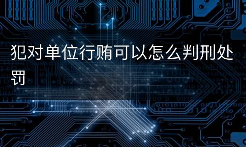 犯对单位行贿可以怎么判刑处罚