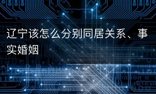 辽宁该怎么分别同居关系、事实婚姻