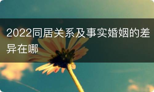 2022同居关系及事实婚姻的差异在哪