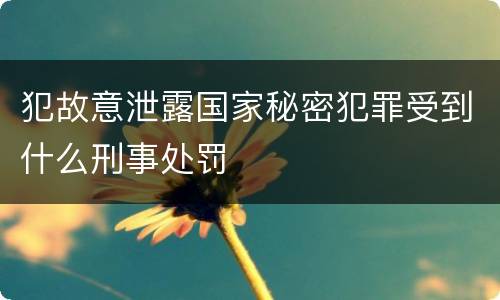 犯故意泄露国家秘密犯罪受到什么刑事处罚