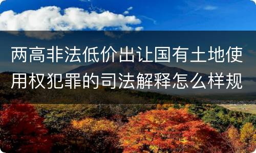 两高非法低价出让国有土地使用权犯罪的司法解释怎么样规定的