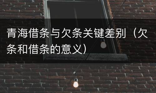 青海借条与欠条关键差别（欠条和借条的意义）