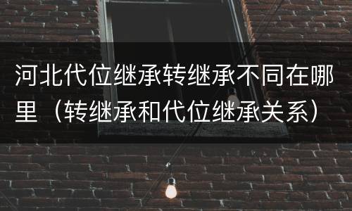 河北代位继承转继承不同在哪里（转继承和代位继承关系）