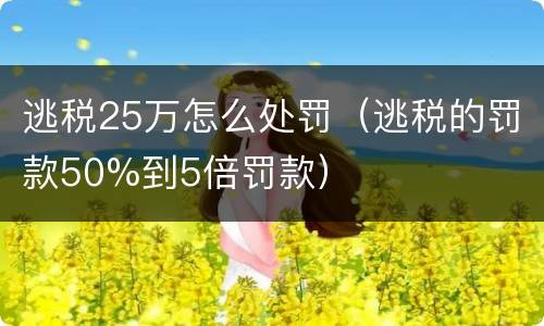 逃税25万怎么处罚（逃税的罚款50%到5倍罚款）