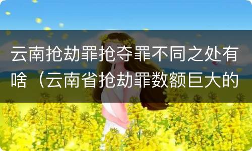 云南抢劫罪抢夺罪不同之处有啥（云南省抢劫罪数额巨大的标准）