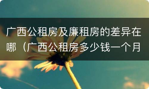 广西公租房及廉租房的差异在哪（广西公租房多少钱一个月）