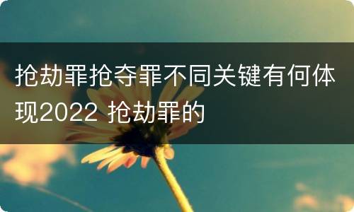 抢劫罪抢夺罪不同关键有何体现2022 抢劫罪的