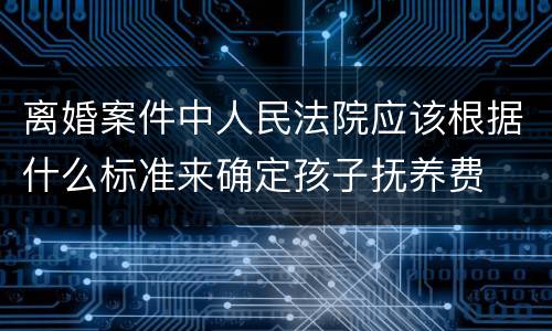 离婚案件中人民法院应该根据什么标准来确定孩子抚养费