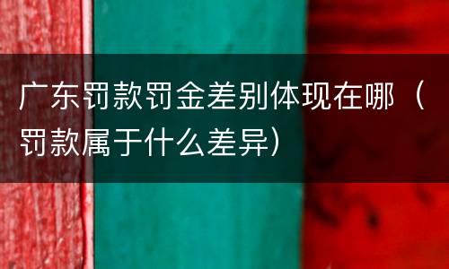 广东罚款罚金差别体现在哪（罚款属于什么差异）