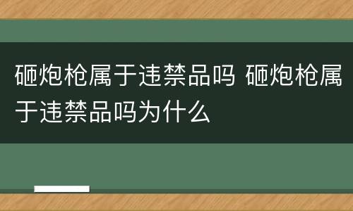 砸炮枪属于违禁品吗 砸炮枪属于违禁品吗为什么