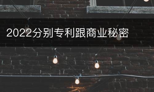 2022分别专利跟商业秘密