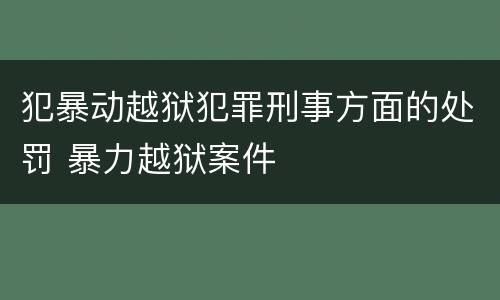 犯暴动越狱犯罪刑事方面的处罚 暴力越狱案件