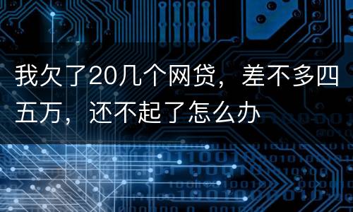 我欠了20几个网贷，差不多四五万，还不起了怎么办