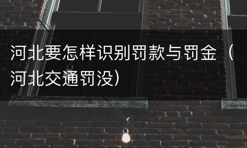 河北要怎样识别罚款与罚金（河北交通罚没）