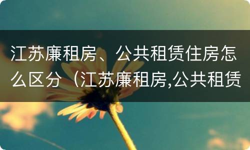江苏廉租房、公共租赁住房怎么区分（江苏廉租房,公共租赁住房怎么区分产权）