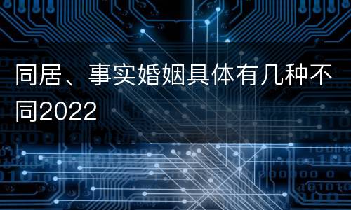 同居、事实婚姻具体有几种不同2022