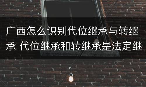 广西怎么识别代位继承与转继承 代位继承和转继承是法定继承吗
