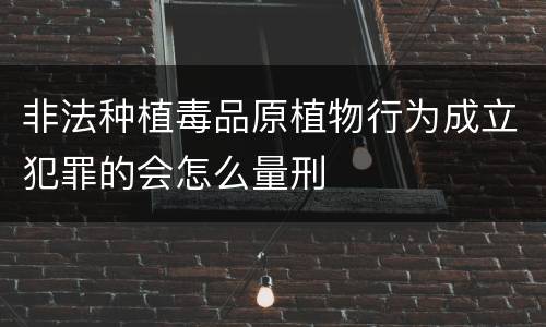 非法种植毒品原植物行为成立犯罪的会怎么量刑
