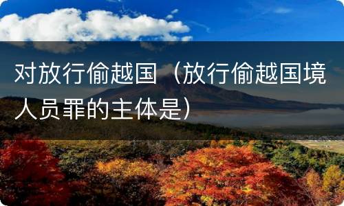 对放行偷越国（放行偷越国境人员罪的主体是）