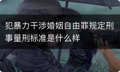 犯暴力干涉婚姻自由罪规定刑事量刑标准是什么样