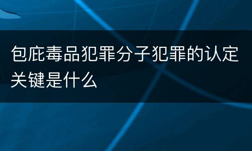 包庇毒品犯罪分子犯罪的认定关键是什么