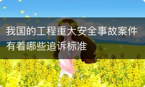 我国的工程重大安全事故案件有着哪些追诉标准