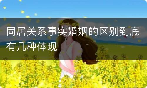 同居关系事实婚姻的区别到底有几种体现