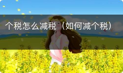 个税怎么减税（如何减个税）