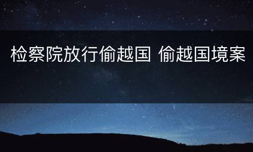 检察院放行偷越国 偷越国境案