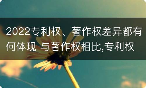 2022专利权、著作权差异都有何体现 与著作权相比,专利权有哪些特征
