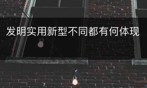 发明实用新型不同都有何体现