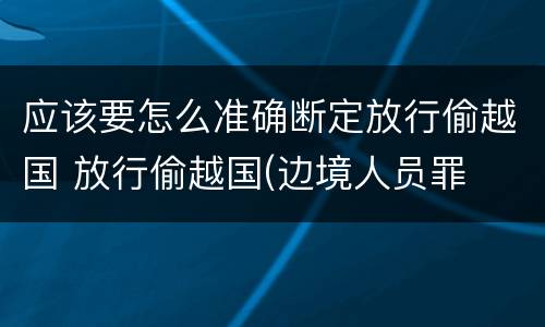应该要怎么准确断定放行偷越国 放行偷越国(边境人员罪