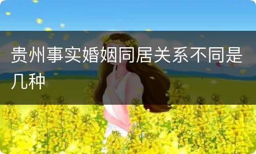 贵州事实婚姻同居关系不同是几种